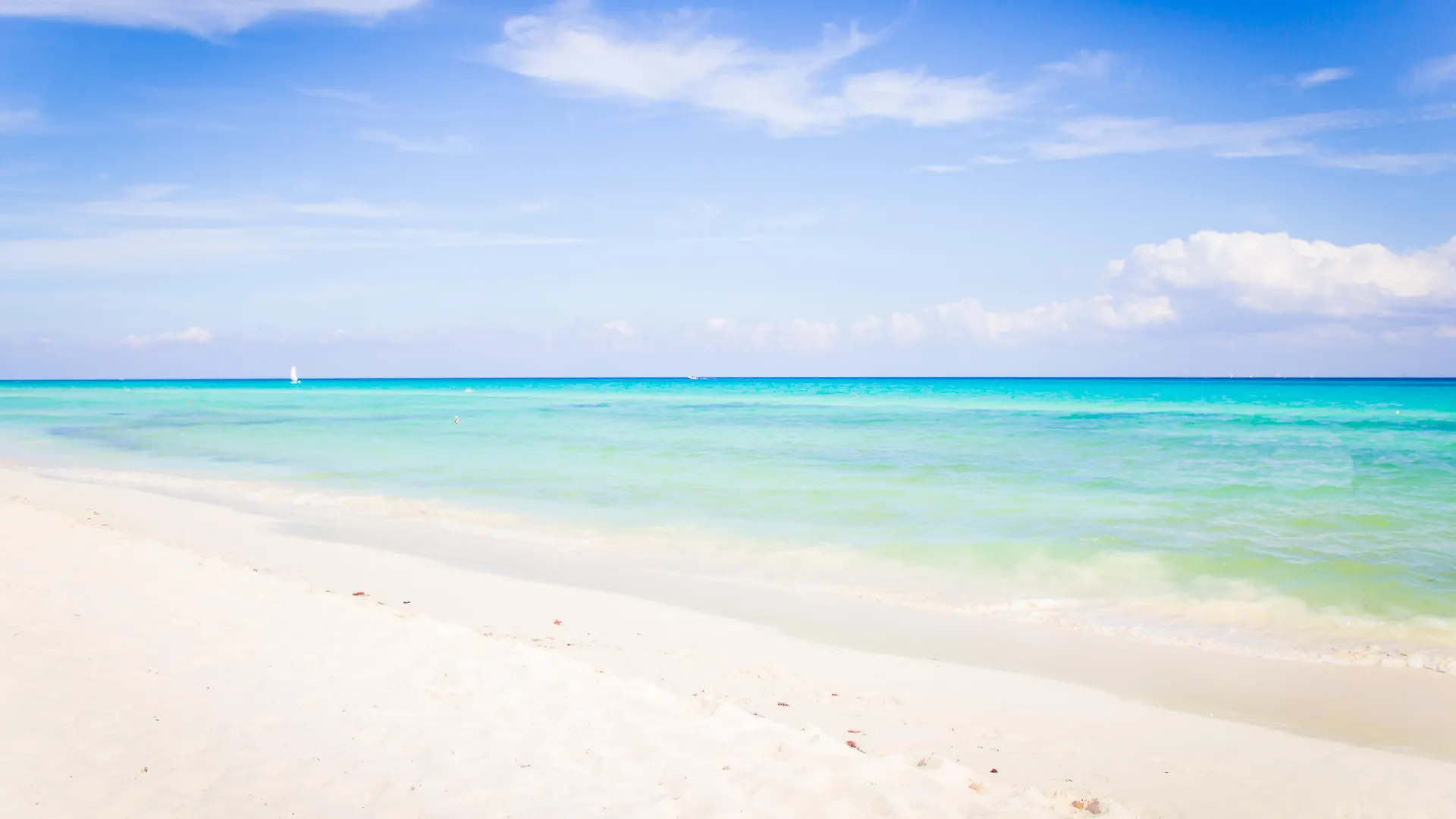 ****  The Reef Playacar Beach Resort & Spa Playa del Carmen Mexiko