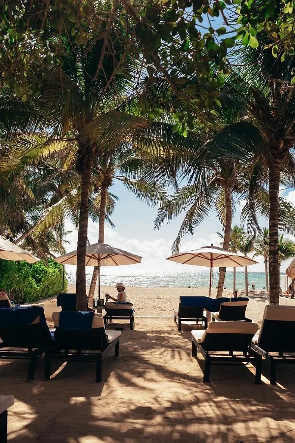 The Reef Playacar Beach Resort & Spa Πλάγια Ντελ Κάρμεν